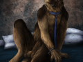 1320387069.raymond_raymondpaintsmall.png